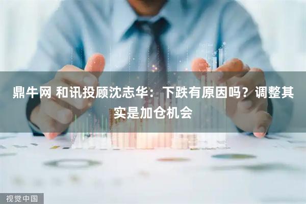 鼎牛网 和讯投顾沈志华：下跌有原因吗？调整其实是加仓机会