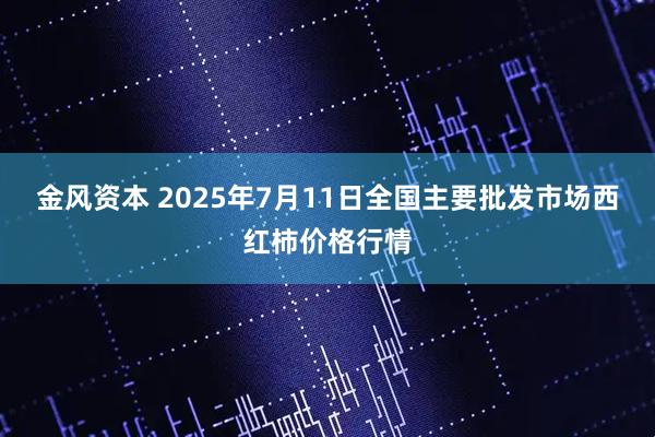 金风资本 2025年7月11日全国主要批发市场西红柿价格行情