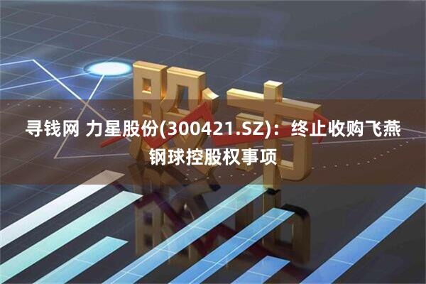 寻钱网 力星股份(300421.SZ)：终止收购飞燕钢球控股权事项