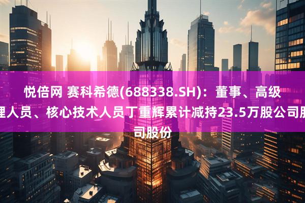 悦倍网 赛科希德(688338.SH)：董事、高级管理人员、核心技术人员丁重辉累计减持23.5万股公司股份