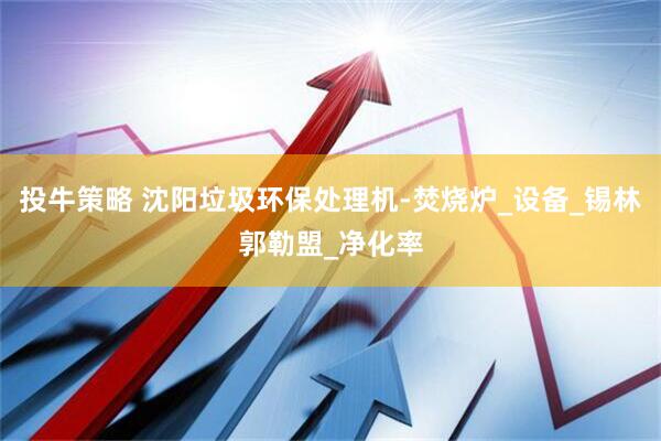 投牛策略 沈阳垃圾环保处理机-焚烧炉_设备_锡林郭勒盟_净化率