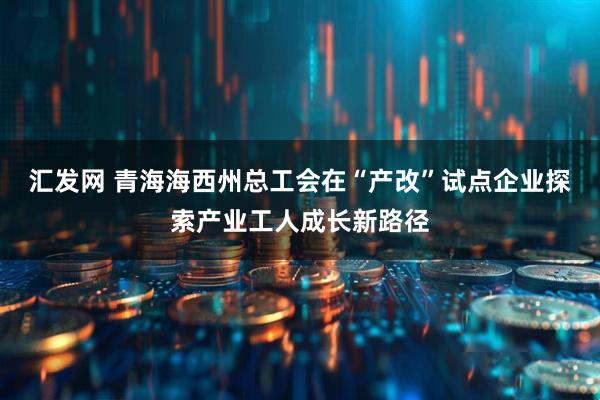 汇发网 青海海西州总工会在“产改”试点企业探索产业工人成长新路径