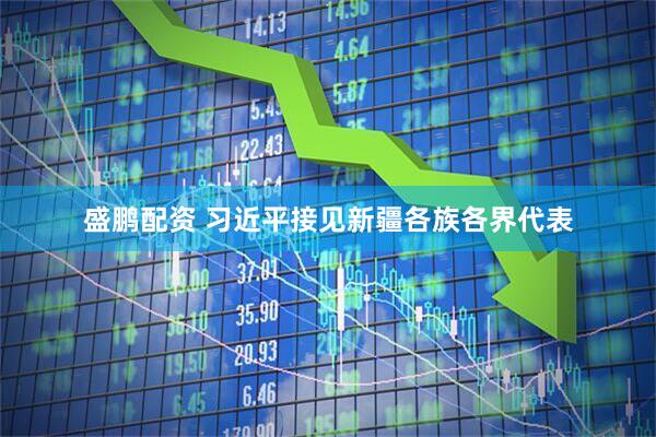 盛鹏配资 习近平接见新疆各族各界代表