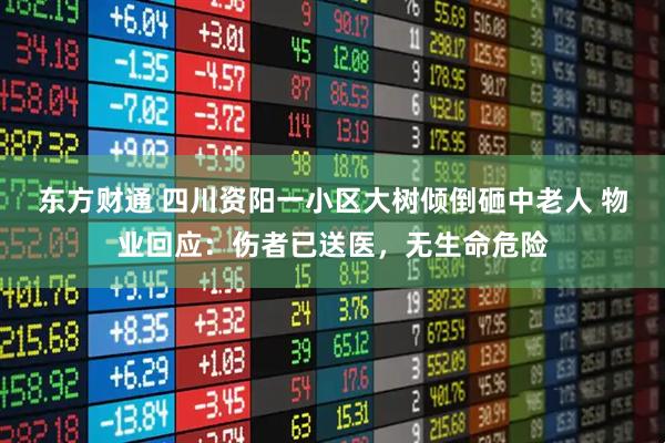 东方财通 四川资阳一小区大树倾倒砸中老人 物业回应：伤者已送医，无生命危险